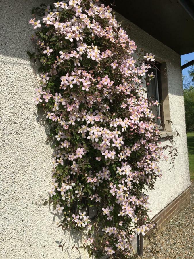 دُنون Heronlea Cottage المظهر الخارجي الصورة